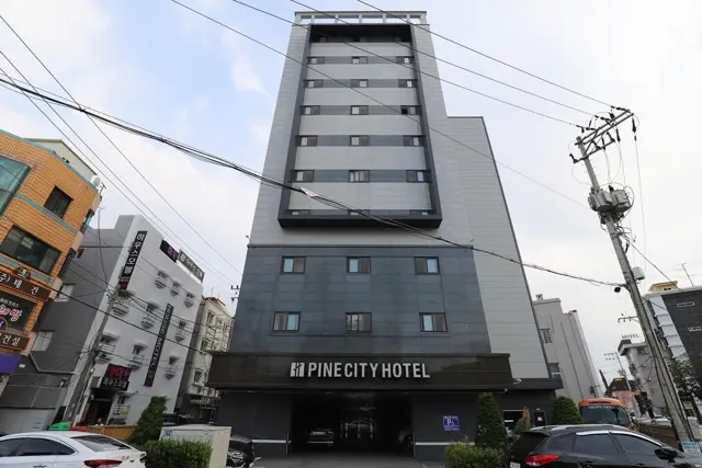 파인 시티 호텔