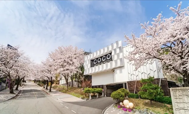 동학사 코코 무인텔