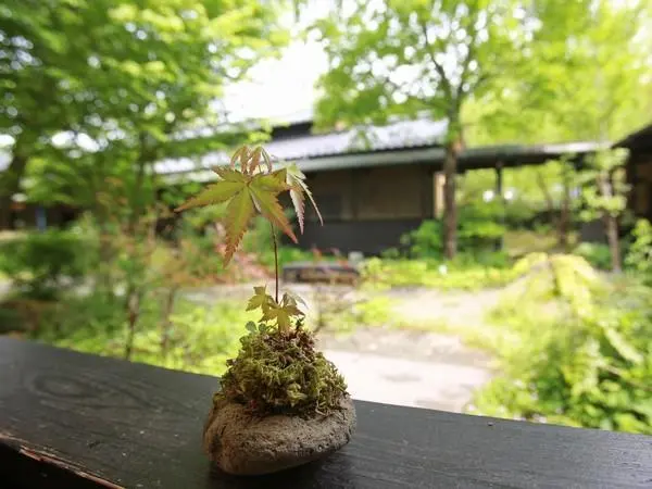 하나쇼안