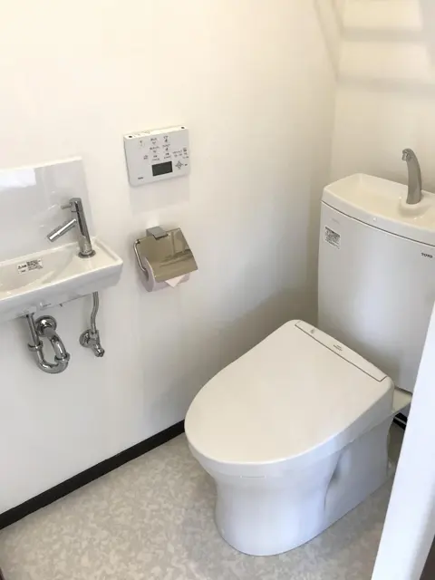 씨 브리즈 코우리