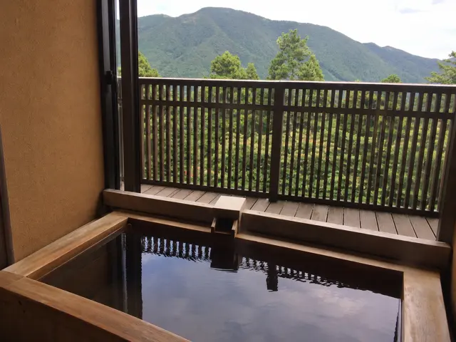 하코네 료리야도 큐안
